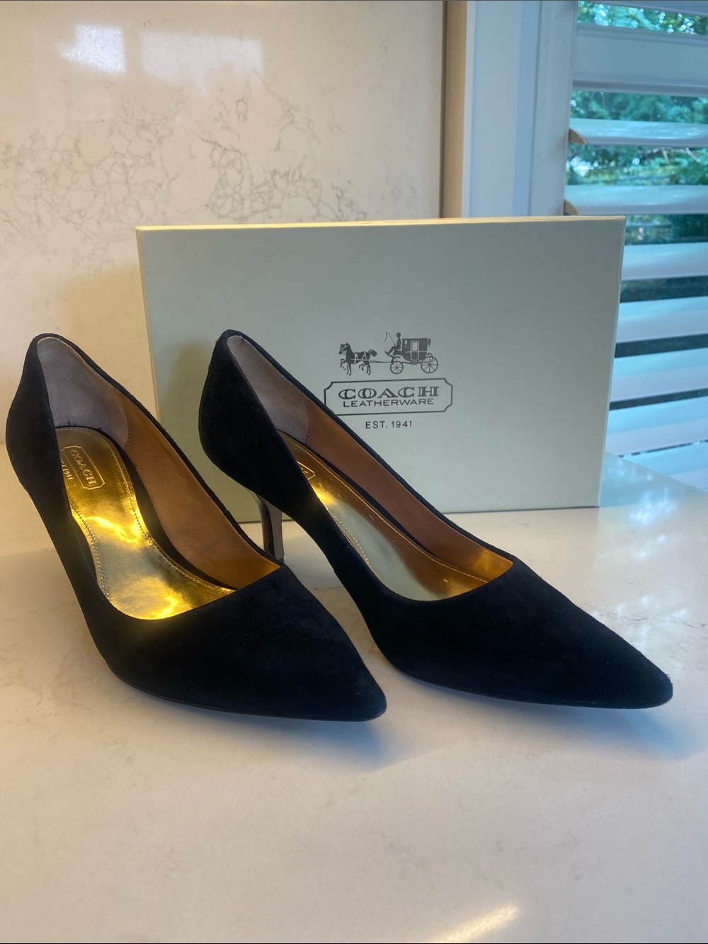 Coach Black Suede Pointed-Toe Mid-Heel Pumps